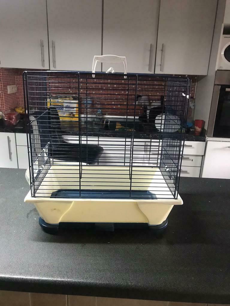 Cage oiseaux, Neuf, Métal, Cage à oiseaux