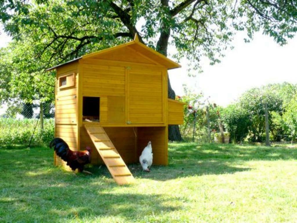 Poulailler 18 poules abri poule XXL caille coq lapin clapier, Envoi, Neuf, Poulailler