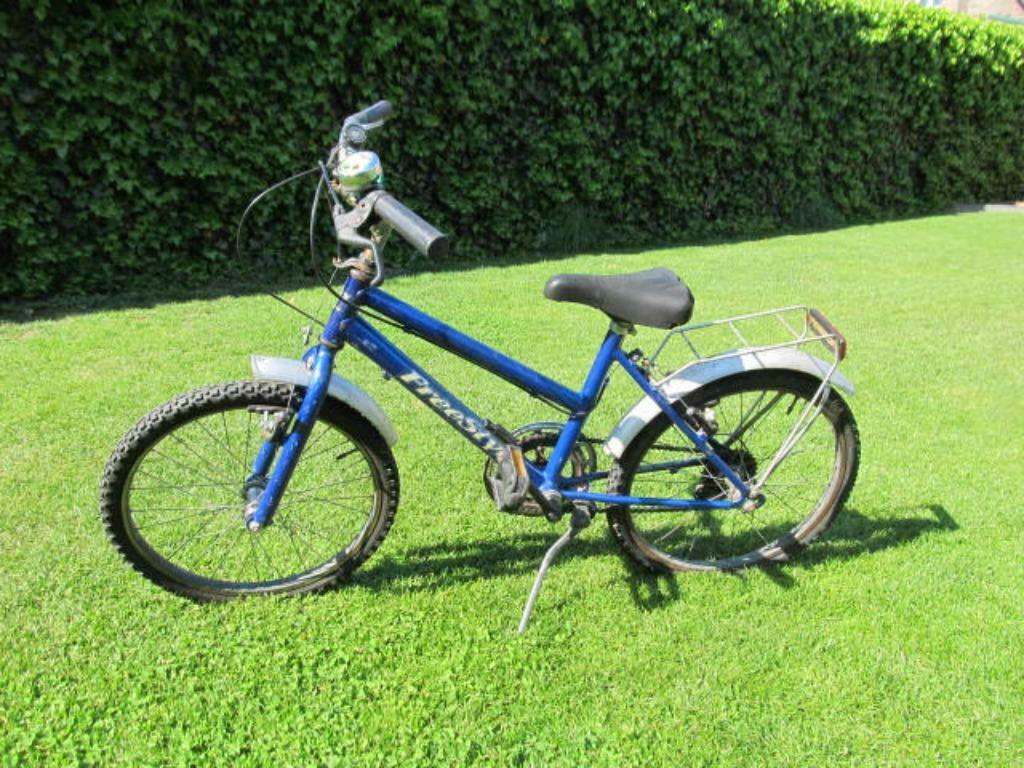 Kinderfiets Freestyle 20 inch, Ophalen, Gebruikt, 16 tot 20 inch