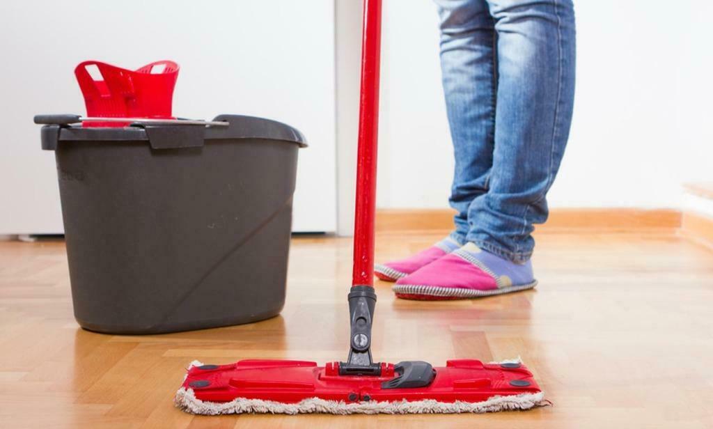 Poetshulp voorlopig NIET gezocht (regio Aalter), Ophalen of Verzenden