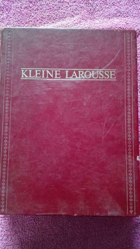 Dictionnaire Little Larousse, Livres, Enlèvement ou Envoi, Néerlandais, Comme neuf, Autres éditeurs
