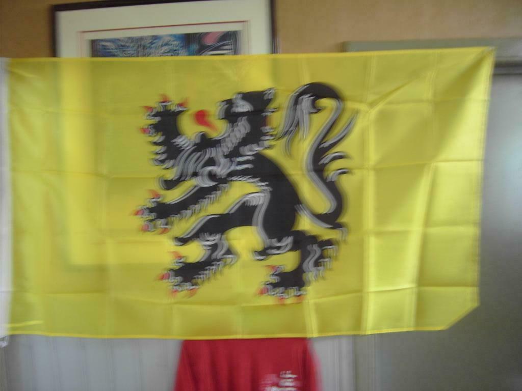 Vlaamse leeuw vlag 150/90 cm, Ophalen of Verzenden, Nieuw