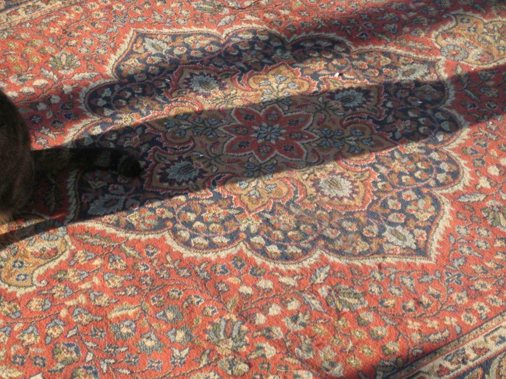 Tapis, Maison & Meubles, Enlèvement, Utilisé, 200 cm ou plus, 150 à 200 cm