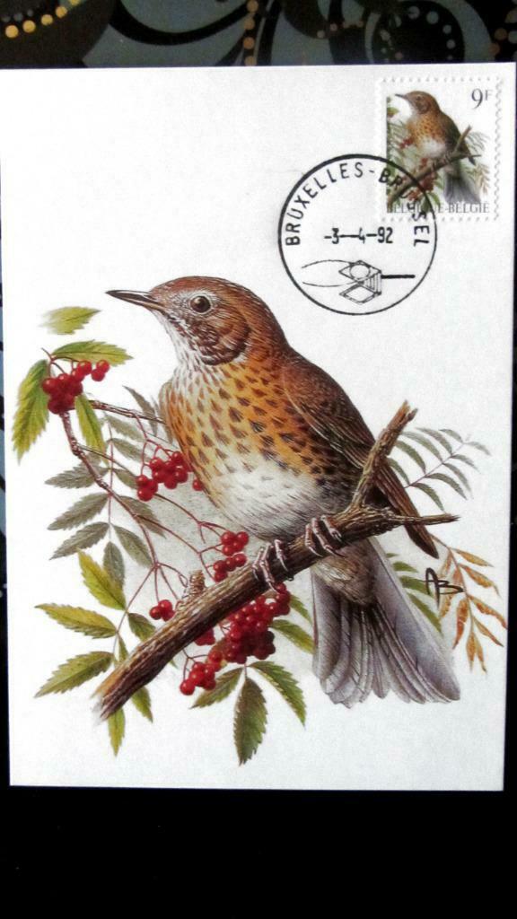 FIRST DAY OP KAART- VOGELS VAN BUZIN- DE ZANGLIJSTER, Enlèvement ou Envoi, Affranchi, Animal et Nature