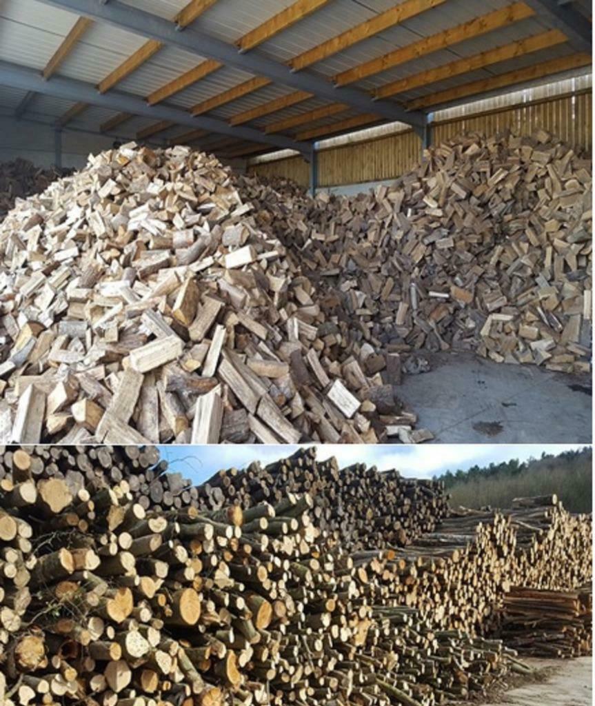 BRANDHOUT LOGS 12 maanden tussen 10 en 75 ster ( stère), Tuin en Terras, Brandhout, 6 m³ of meer, Verzenden, Overige houtsoorten