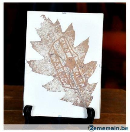 herbier feuille  dans cadre vitré, Enlèvement ou Envoi