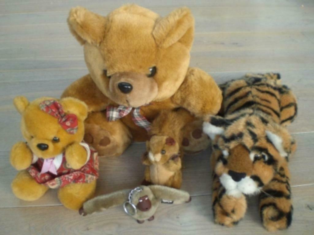 100% nieuwe superzachte knuffels - 5 stuks, Ophalen, Nieuw, Overige typen