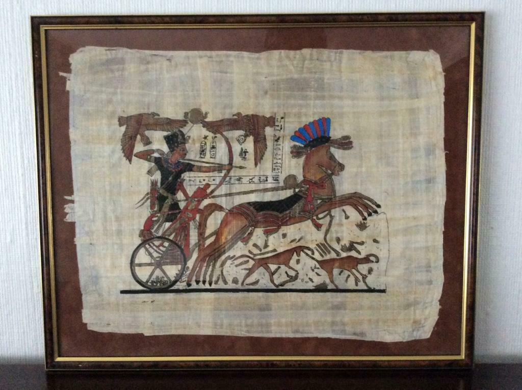 Egyptische papyrus  Papyrus, Ophalen