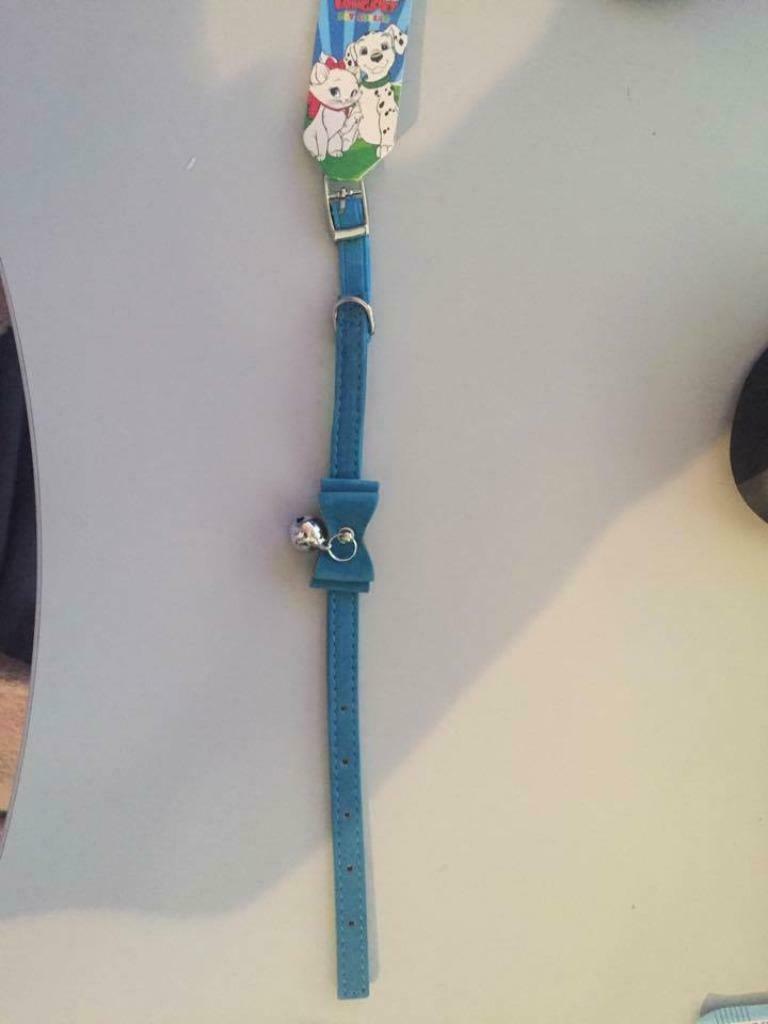 Kattenhalsband, kleine turquoise hond 28, cm, Ophalen of Verzenden, Nieuw