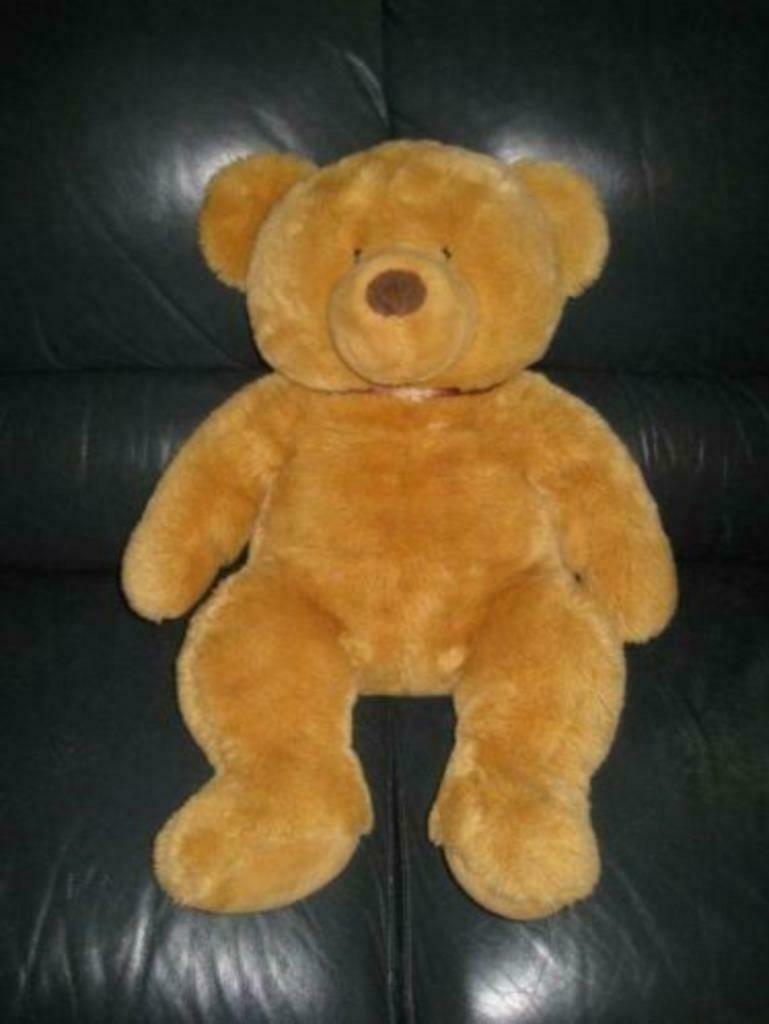Grote knuffel / beer / teddybeer, Ophalen of Verzenden, Zo goed als nieuw, Beer