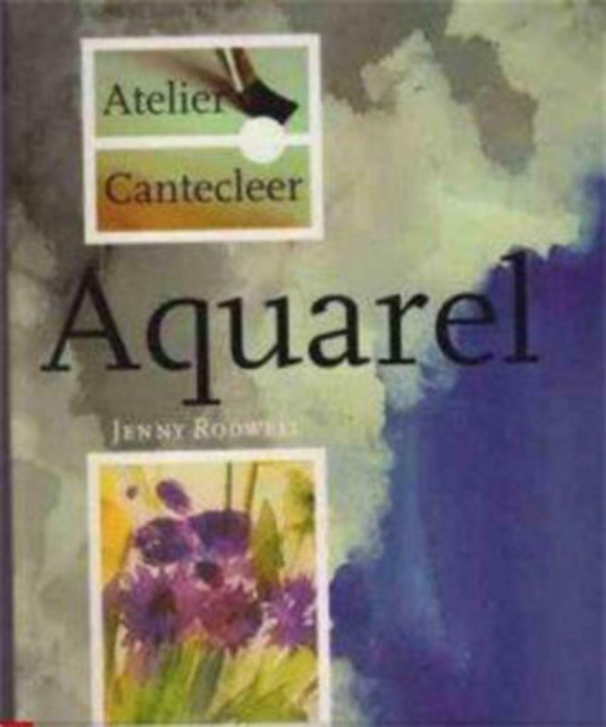 Aquarel, Jenny Rodwell, Ophalen of Verzenden, Gelezen, Tekenen en Schilderen