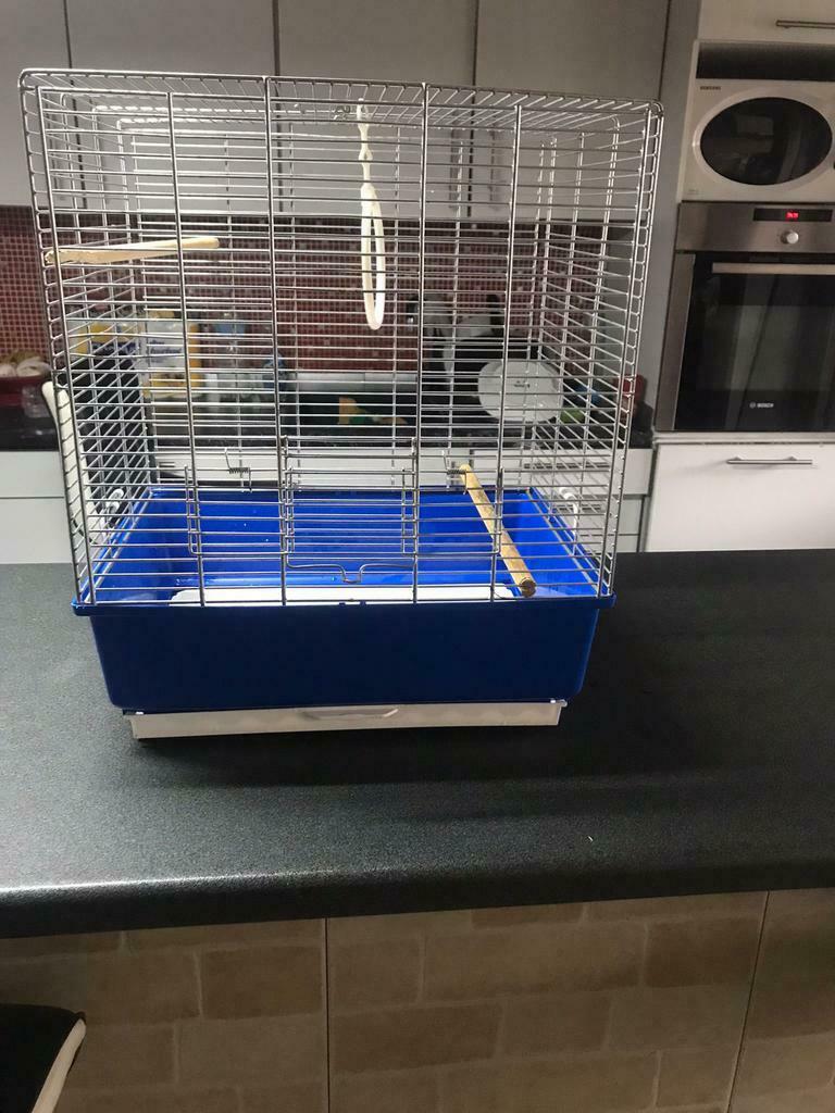 Cage oiseaux, Neuf, Métal, Cage à oiseaux