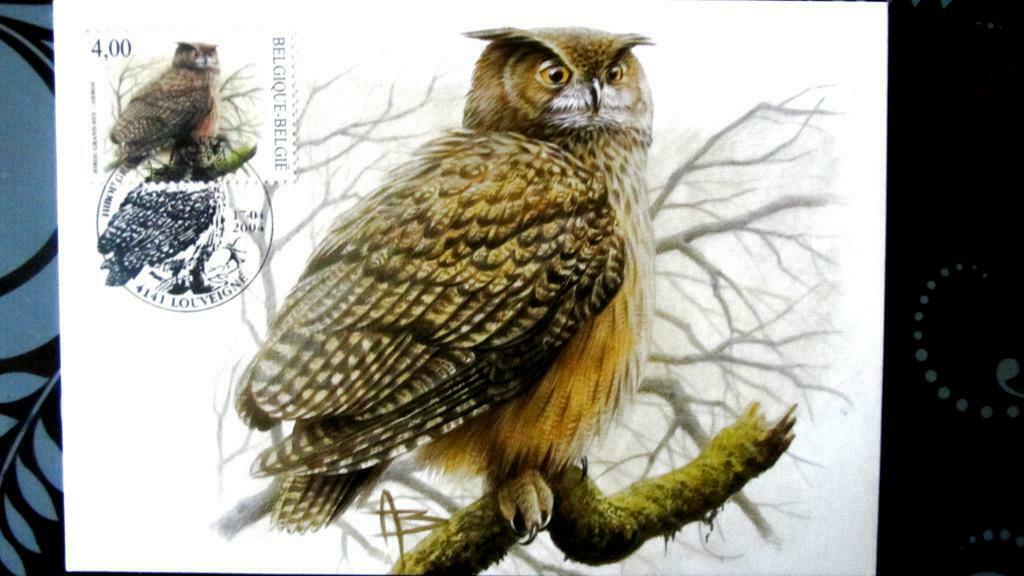 FIRST DAY OP KAART- VOGELS VAN BUZIN- DE OEHOE, Ophalen of Verzenden, Gestempeld, Dier of Natuur