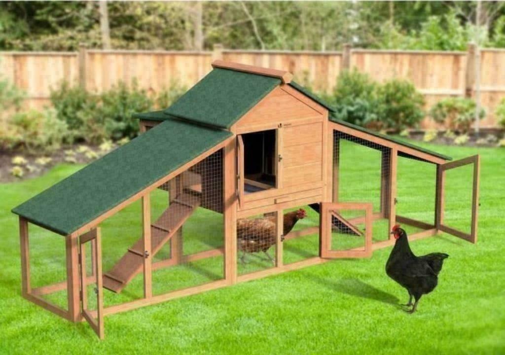 Poulailler XXXL abri poule pondoir poule enclos poule parc, Envoi, Poulailler