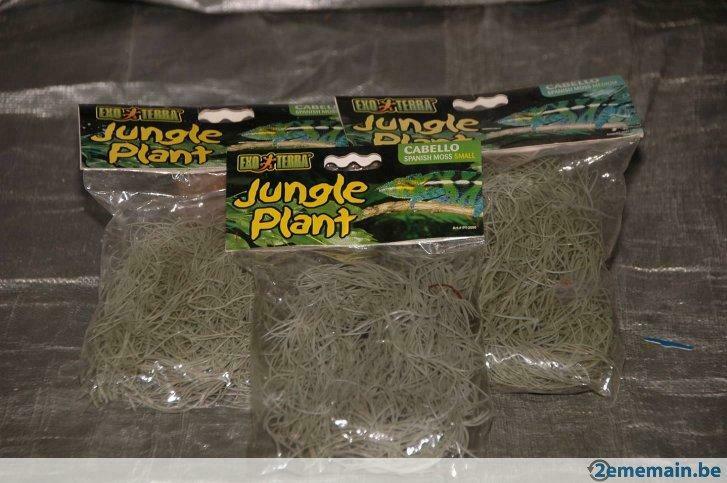 Plantes de jungle (Mousse d'espagne Cabello) Exo Terra, Ophalen, Nieuw