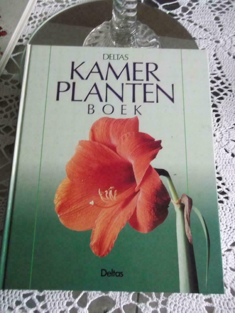Kamerplanten boek, Boeken, Hobby en Vrije tijd, Zo goed als nieuw, Overige onderwerpen, Geschikt voor kinderen, Ophalen of Verzenden