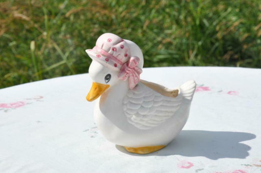 §  canard pour plante ou autres, Jardin & Terrasse, Enlèvement ou Envoi, Moins de 25 cm, Utilisé, Intérieur