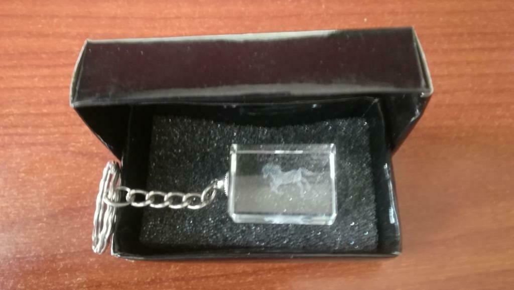 3D HORSE IN CUBE - 3D PAARD IN BLOK - LASER ETCH, Ophalen of Verzenden, Zo goed als nieuw, Dier of Natuur