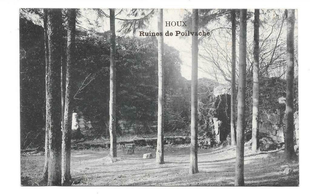 Houx ruines de Poilvache, Enlèvement ou Envoi, Non affranchie, Namur