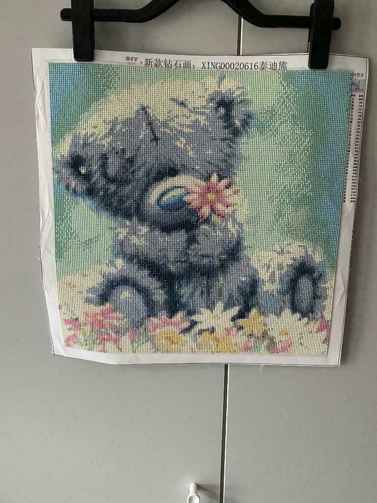 diamond painting, Hobby en Vrije tijd, Knutselen, Nieuw, Ophalen of Verzenden