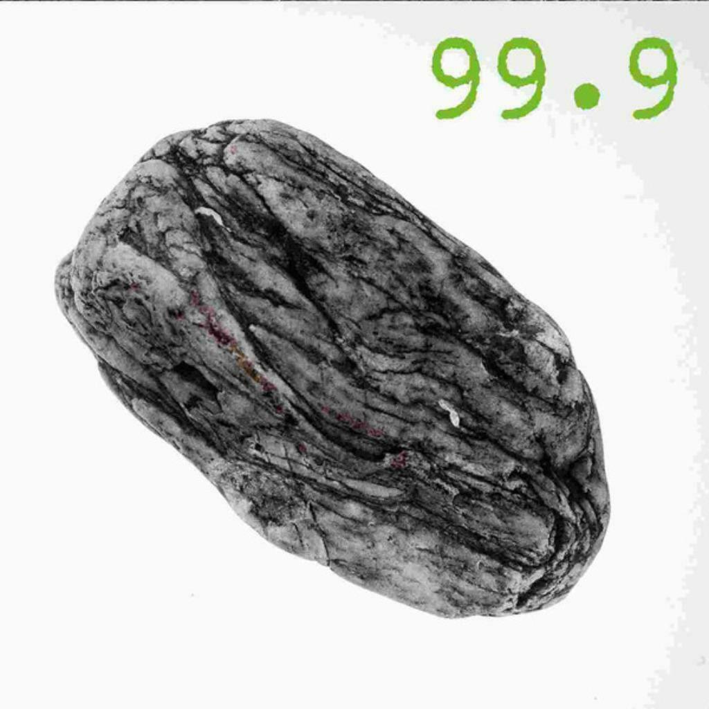 99.9 ‎– Silex - Interpretations (2x CD), Cd's en Dvd's, Cd's | Overige Cd's, Ophalen of Verzenden