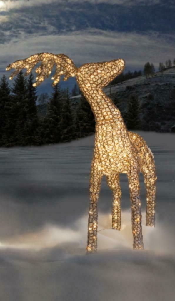 Exclusief Groot staand Led-Rendier In Glasoptiek. 400 Led's, Ophalen of Verzenden, Nieuw