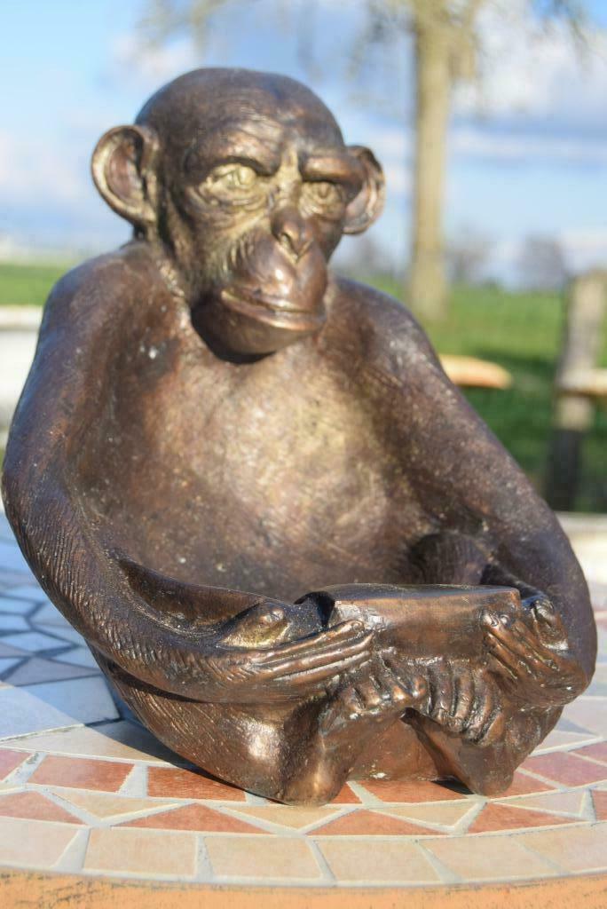 De aap die leest (dierlijk brons), Ophalen of Verzenden