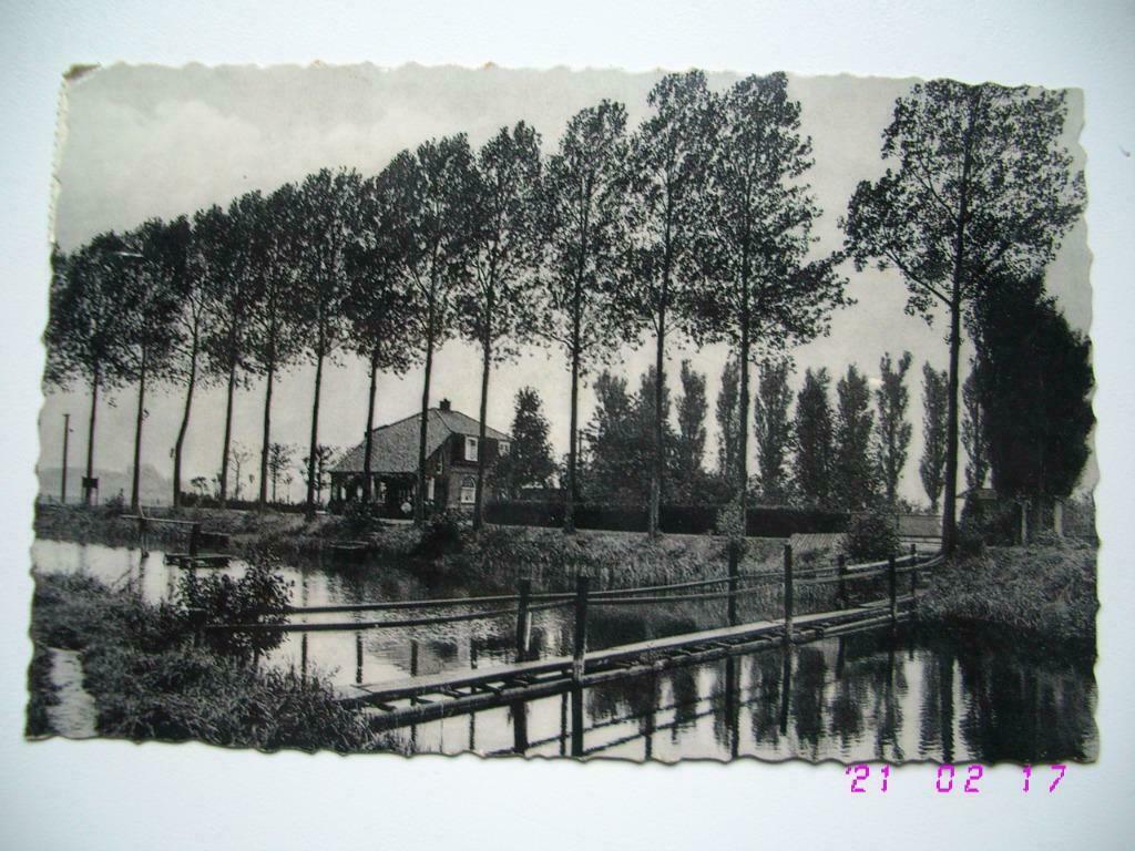 Postkaart : Avelgem Oude Schelde, Verzamelen, Verzenden, Gelopen, West-Vlaanderen