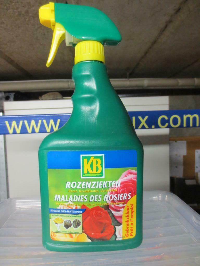 KB spray voor rozen,terras en sierplanten, Enlèvement