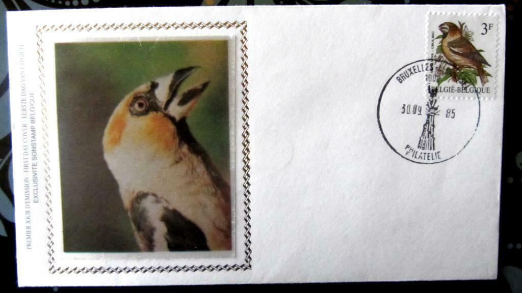 FIRST DAY COVER OP ZIJDE- VOGELS VAN BUZIN- DE APPELVINK, Ophalen of Verzenden, Gestempeld, Dier of Natuur