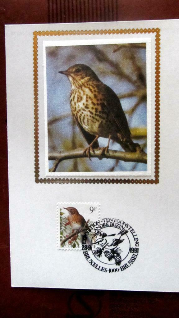 FIRST DAY OP KAART EN OP ZIJDE-VOGELS VAN BUZIN-ZANGLIJSTER, Enlèvement ou Envoi, Affranchi, Animal et Nature
