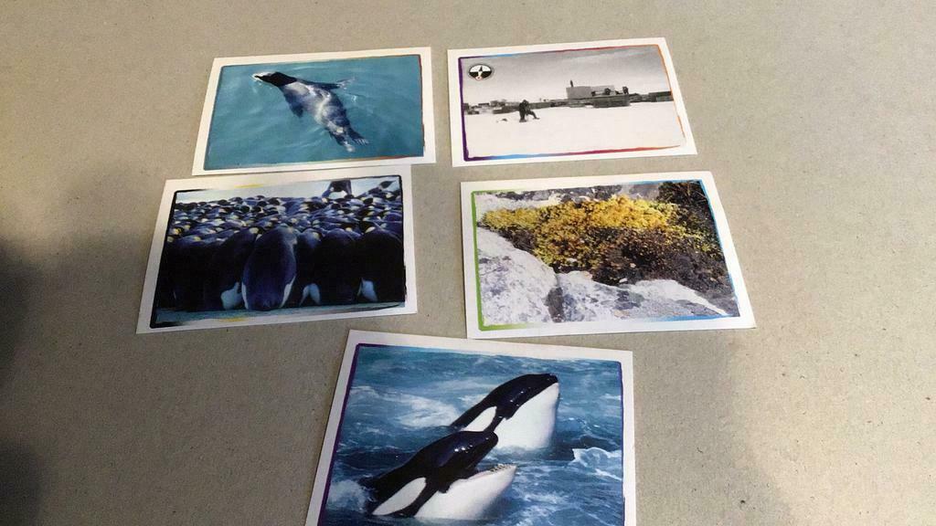 Stickers Panini découvrez les pôles avec des étoiles (x5c), Enlèvement ou Envoi, Comme neuf