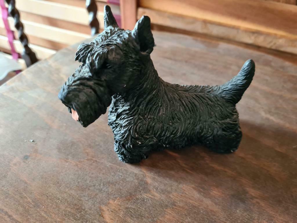 Schotse terriër., Ophalen, Zo goed als nieuw