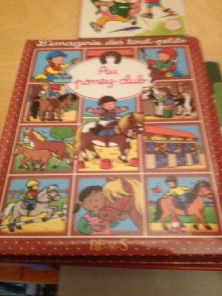 L'imagerie des tout petits au poney-club, Enlèvement