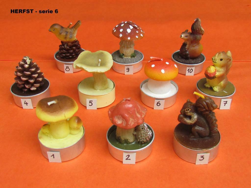 Herfst theelichtjes - serie 6, Ophalen of Verzenden, Nieuw, Kaars