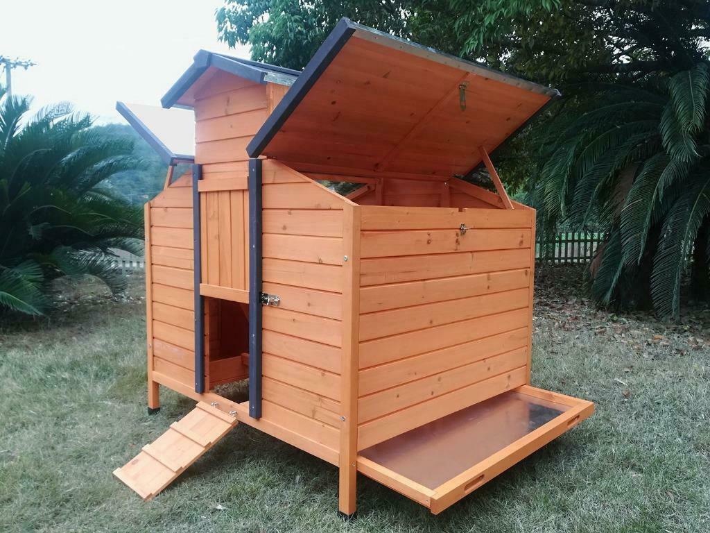 Poulailler XXL 6 poules maison poule coq abri poule canard, Enlèvement, Neuf, Poulailler