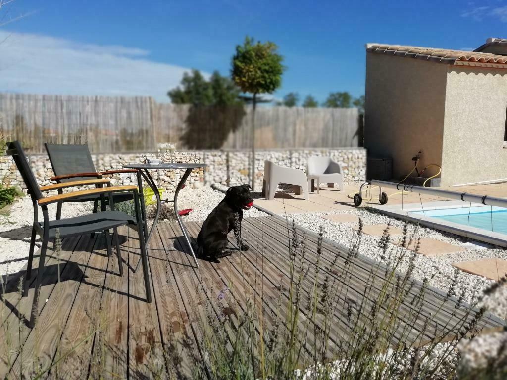 Vakantiewoning met privé zwembad | Le Clos Licagnas, Wasmachine, Landelijk, Languedoc-Roussillon, In bos