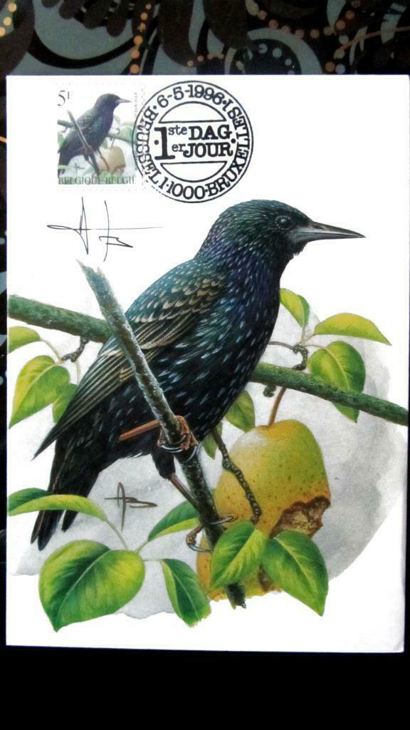 FIRST DAY OP KAART- VOGELS VAN BUZIN- DE SPREEUW, Ophalen of Verzenden, Gestempeld, Dier of Natuur