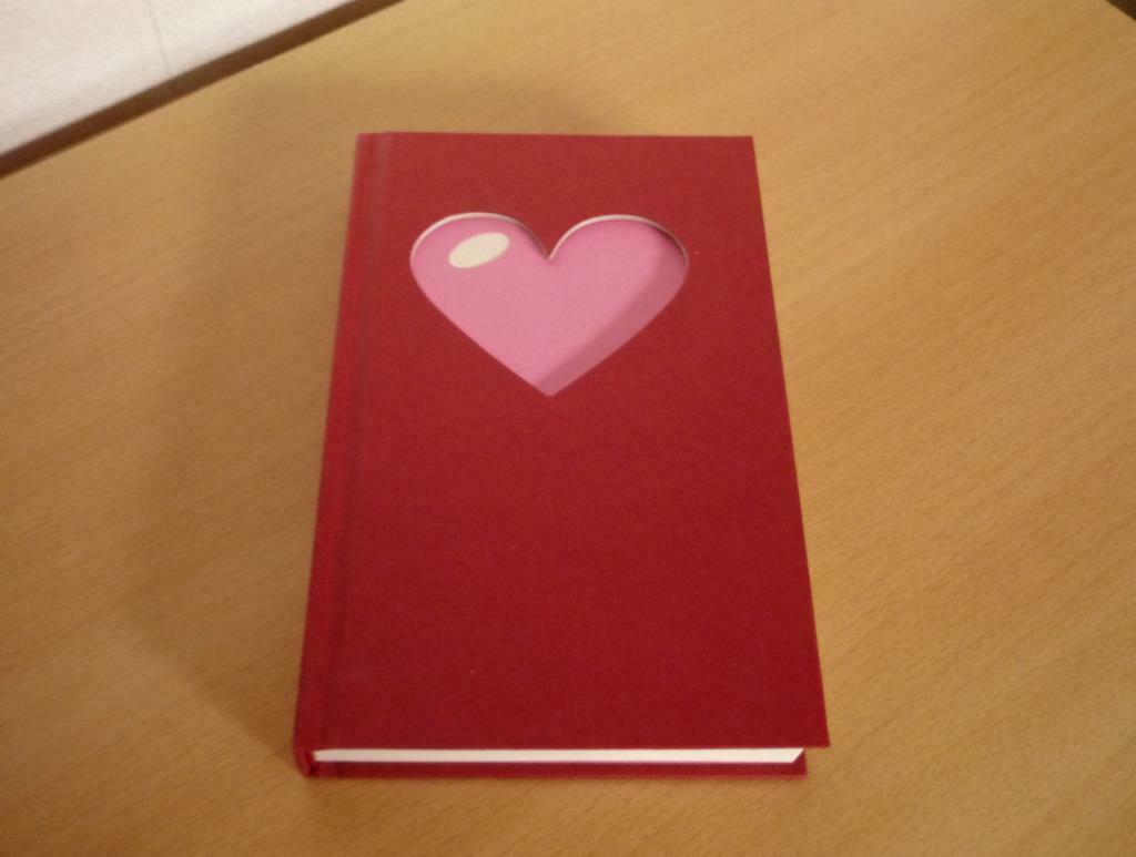 Boek Passie en romantiek van Ilse Nackaerts, Ophalen of Verzenden