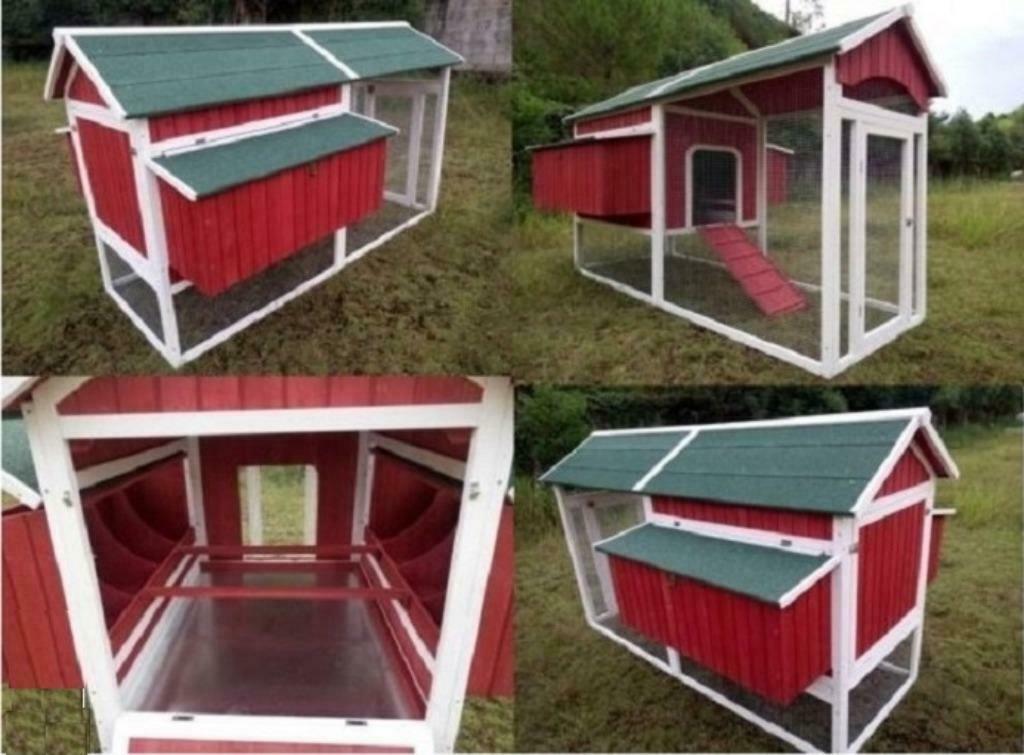 Poulailler XXL 12 Poules abri poule caille volaille clapier, Envoi, Neuf, Poulailler
