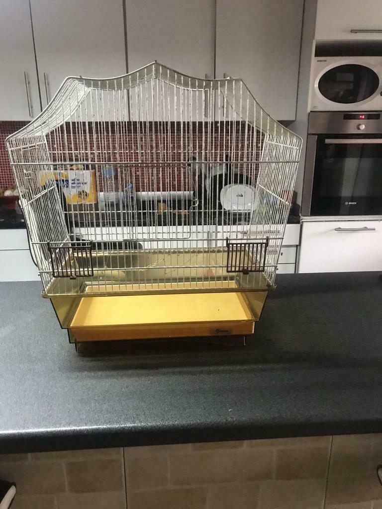 Cage pour petit oiseaux, Utilisé, Métal, Cage à oiseaux