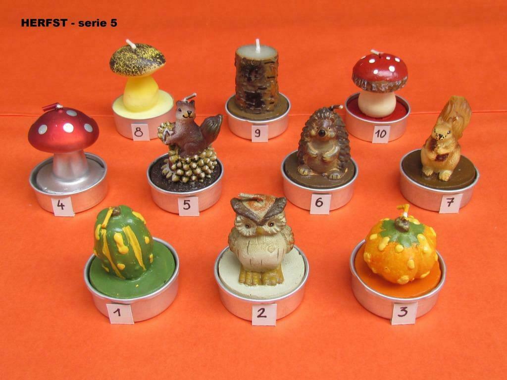 Herfst theelichtjes - serie 5, Ophalen of Verzenden, Nieuw, Kaars