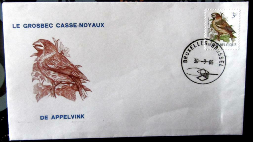 FIRST DAY COVER- VOGELS VAN BUZIN- DE APPELVINK, Ophalen of Verzenden, Gestempeld, Dier of Natuur
