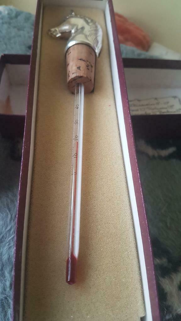 Thermomètre à vin, Maison & Meubles, Enlèvement ou Envoi, Utilisé