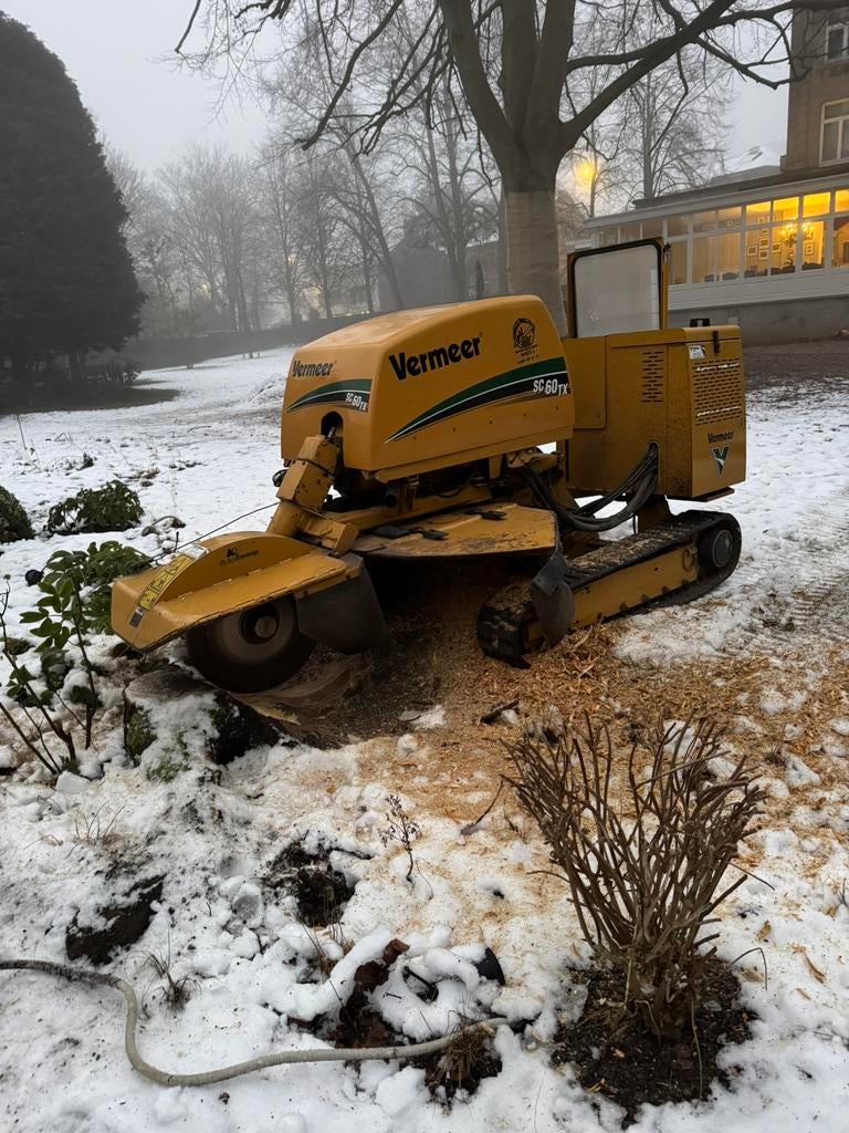 Uitfrezen van stronken, Tuinonderhoud of Snoeiwerk