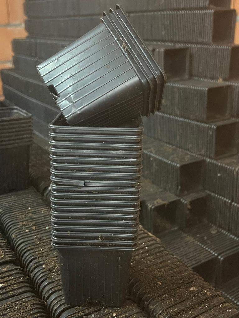 vierkante P9 potjes bloempotjes ondiepere potmaat 9 x 8,5 cm, Tuin en Terras, Bloempotten, Kunststof, Vierkant, Ophalen of Verzenden