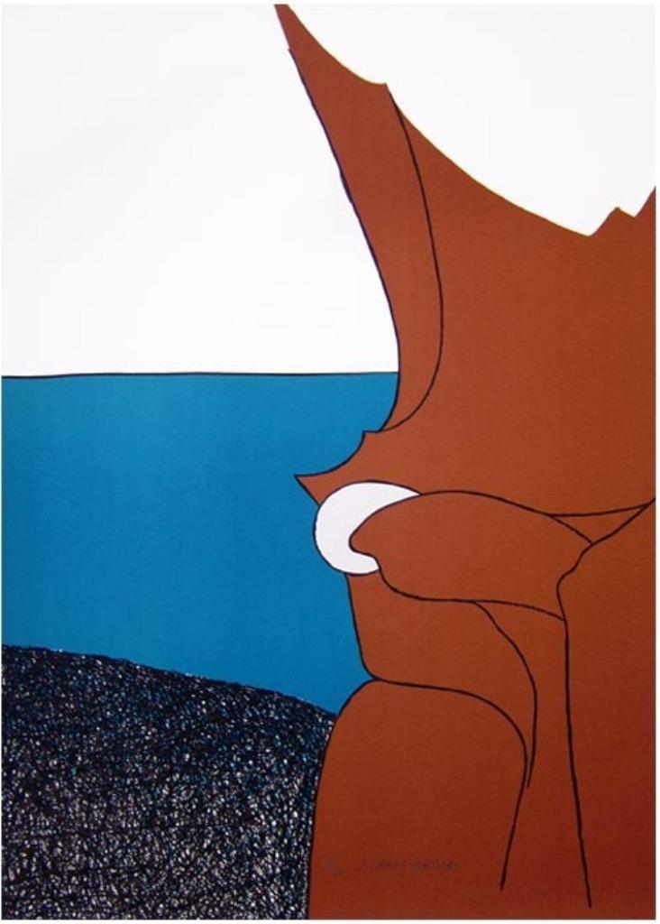 'De witte parel', litho van Juan GARDY ARTIGAS + cataloog, Antiek en Kunst, Ophalen of Verzenden
