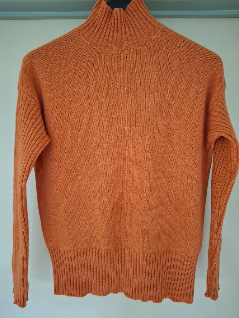 95 % Cashmere trui 'Rifo' Circular Fashion - maat 38, Kleding | Dames, Ophalen of Verzenden, Zo goed als nieuw, Maat 38/40 (M)