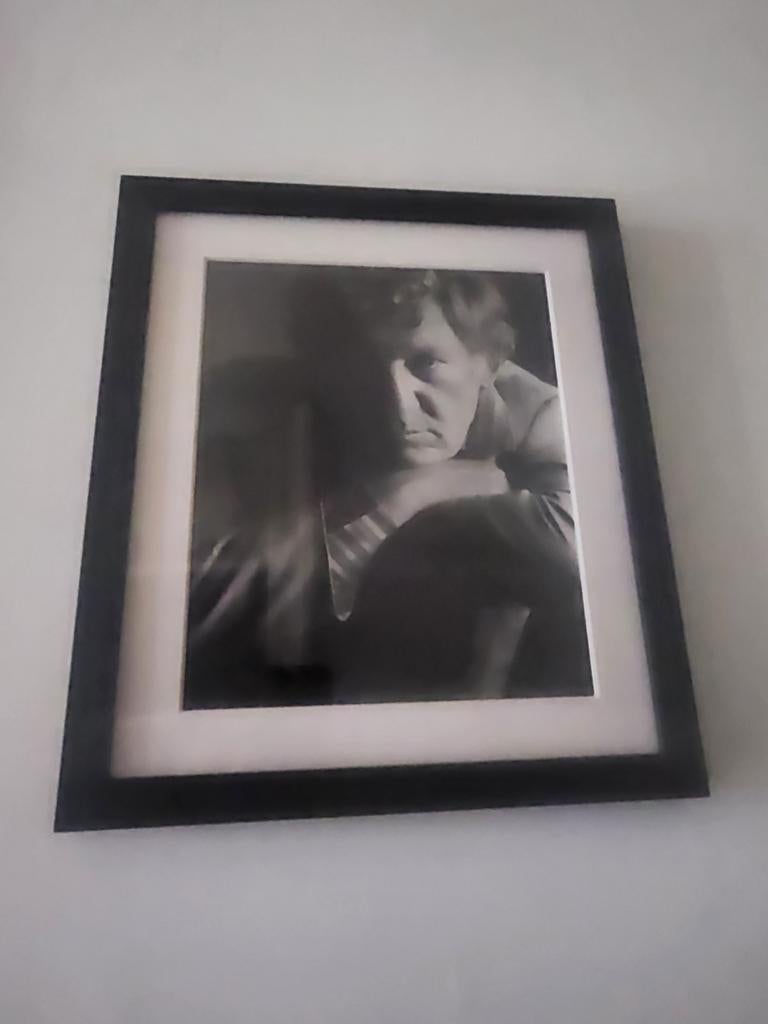 Portrait de Hugo Claus à vendre, Enlèvement