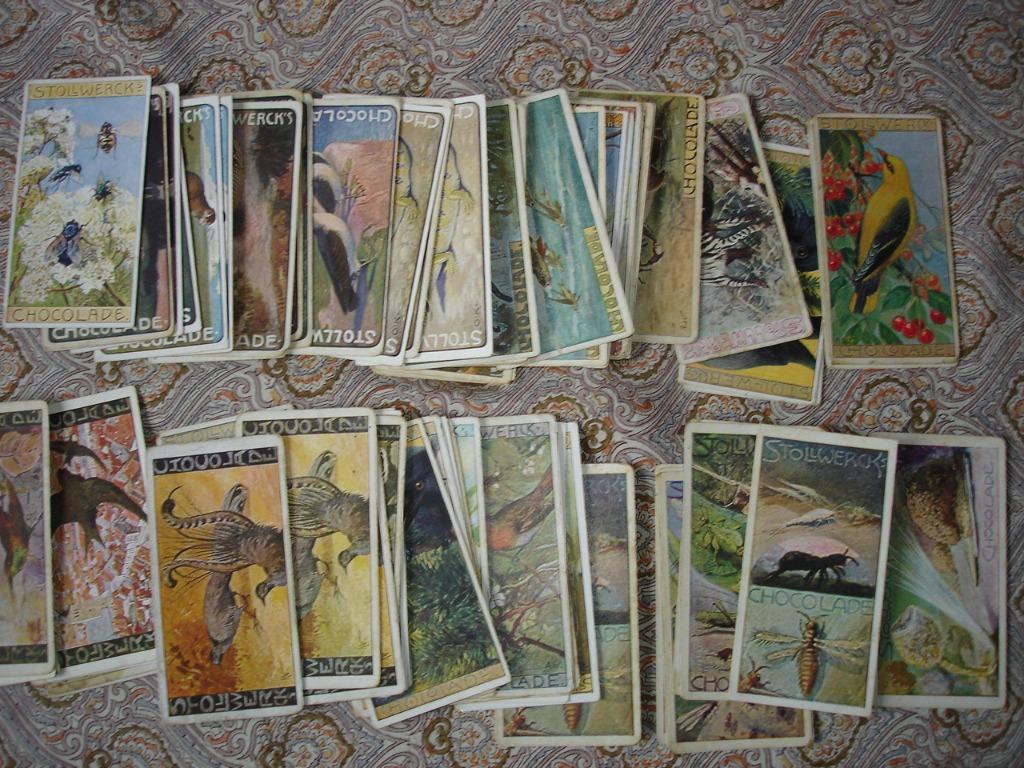 122 kaarten Stollwerck chocolade gruppe 265/295, Verzenden, Gebruikt, Meerdere kaarten